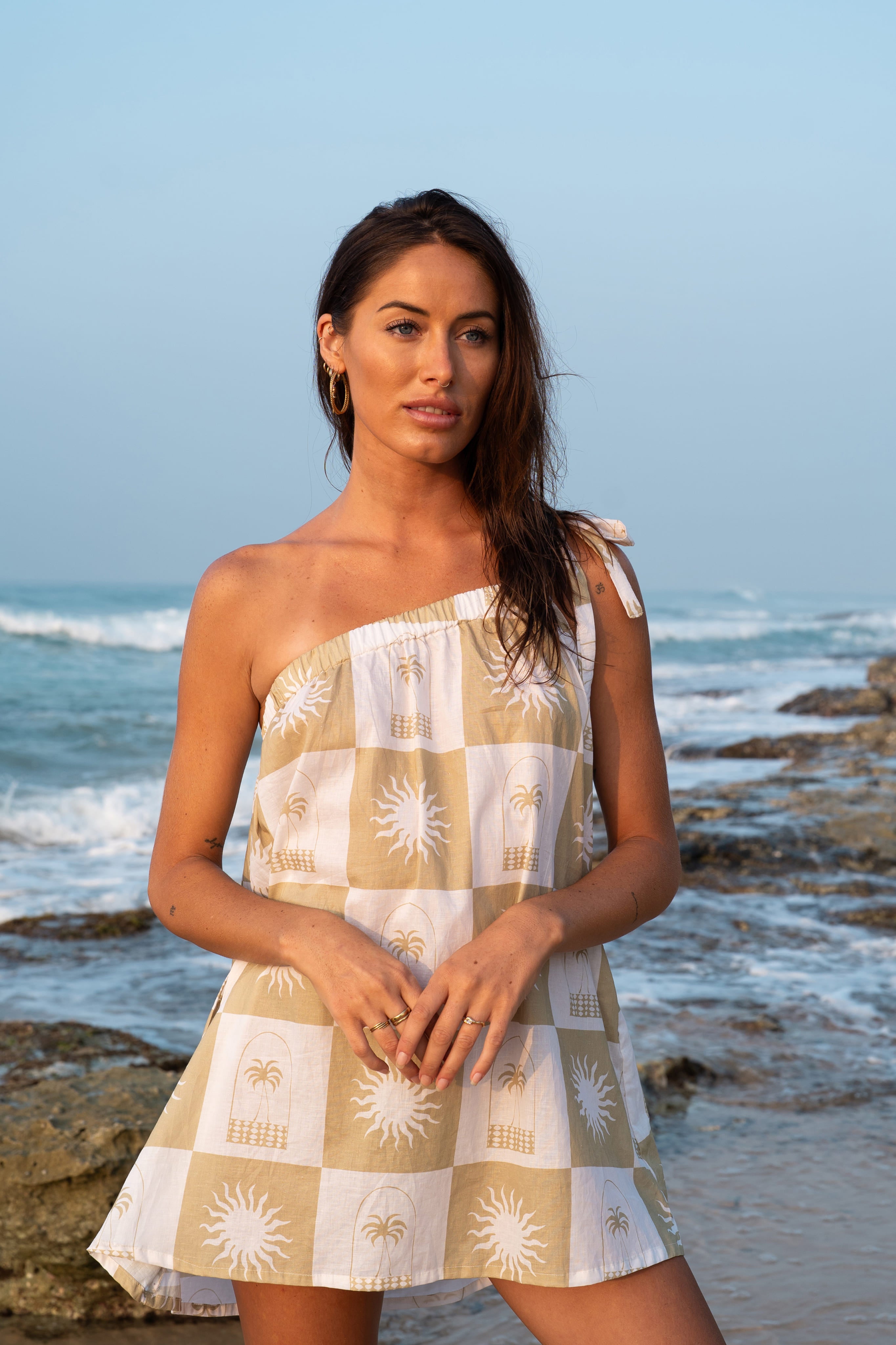 Ariya Mini Dress In Brown